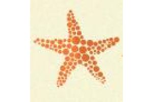 Fortuna Business Travel