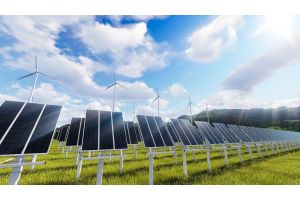 B& I TIMES TRAVEL Impex