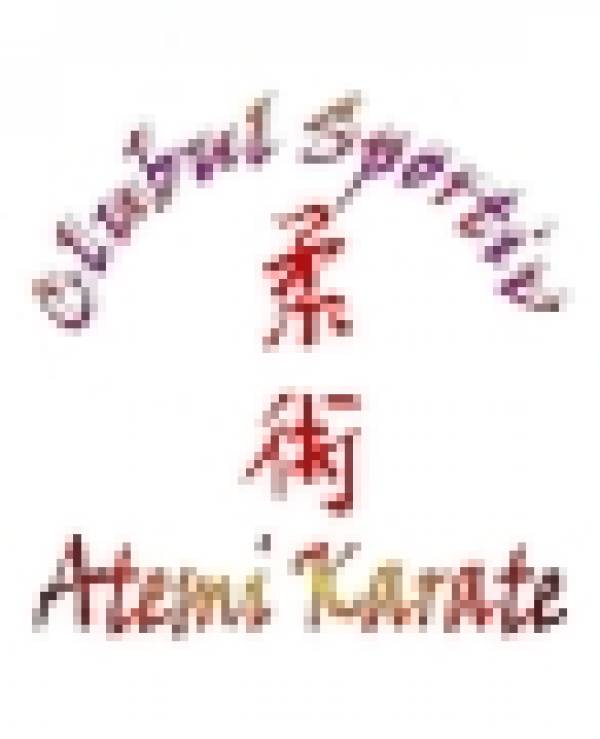 Club Sportiv Atemi Karate, Constanţa