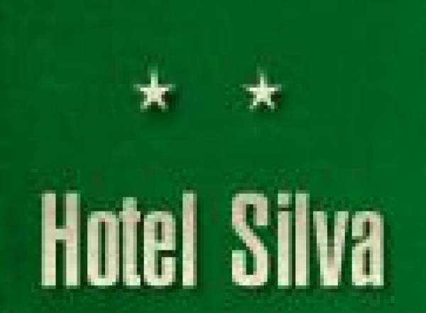 Hotel Silva, Vatra Dornei
