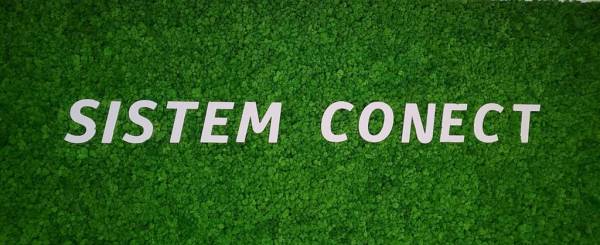 Sistem Conect, Suceava