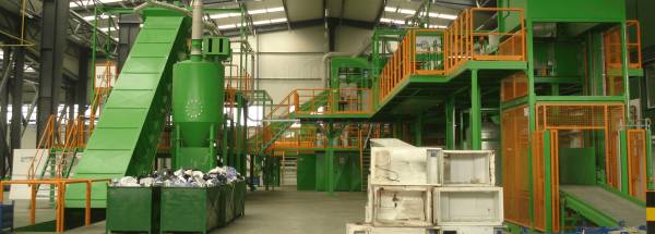 Greenweee International, Ţinteşti