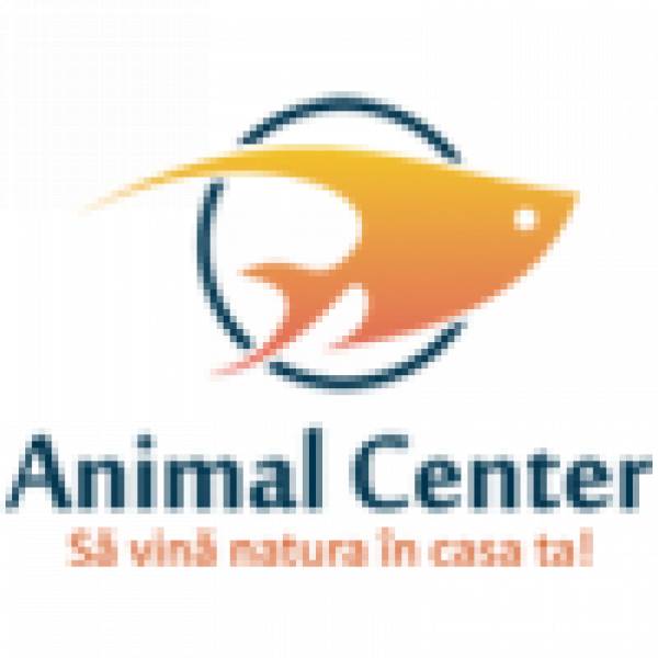 Escada, Jucu de Mijloc