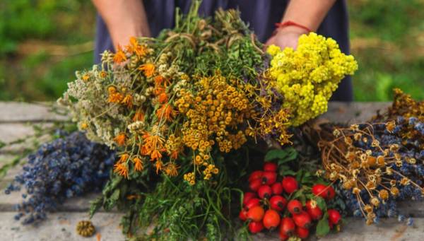 Producator SC ALEVIA, Fălticeni