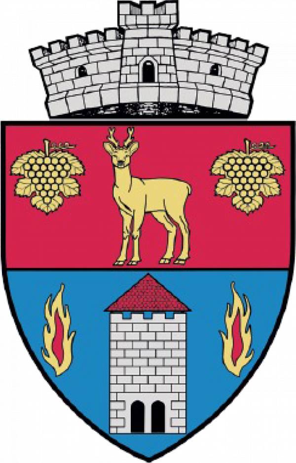 PRIMĂRIA DANEŞ, Daneş