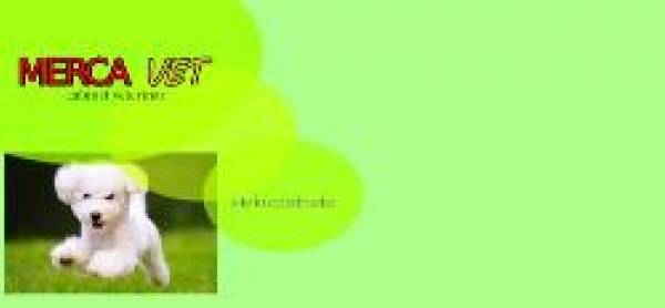 Cabinet Veterinar Merca Vet, Floreşti