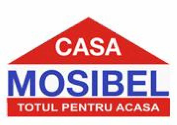 Casa Mosibel, Timişoara