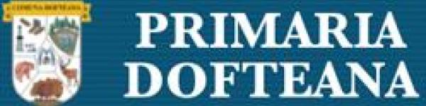 Primăria Dofteana, Dofteana