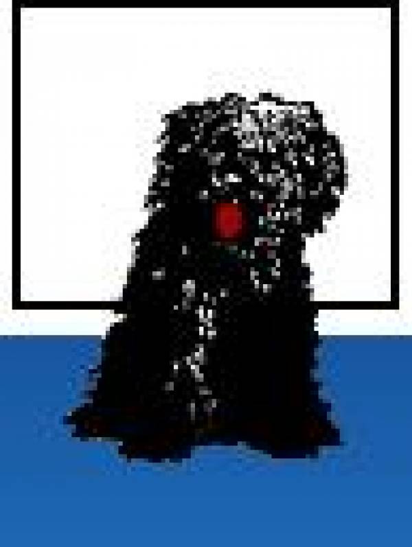 Asociaţia Chinologică Română - Satu Mare, Satu Mare