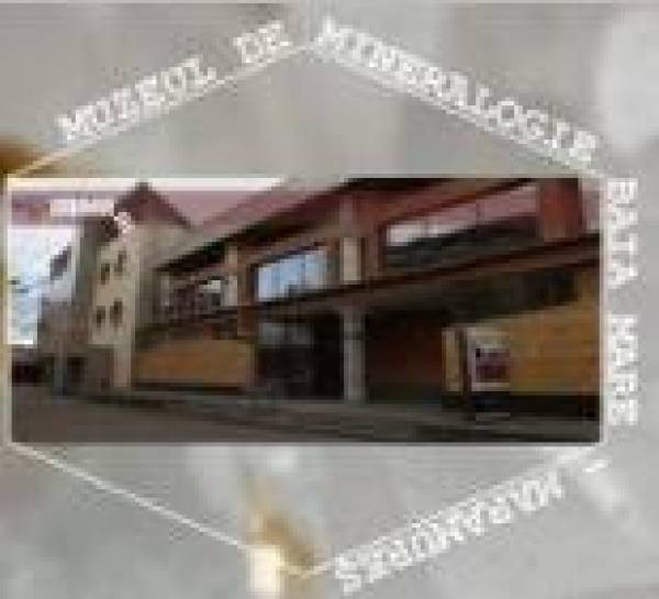 Muzeul de Mineralogie, Baia Mare