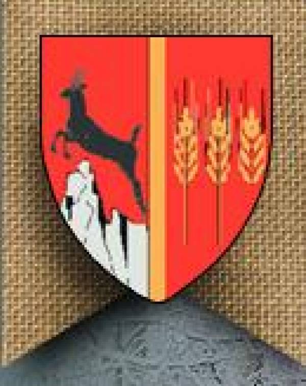 Primăria Oniceni, Oniceni