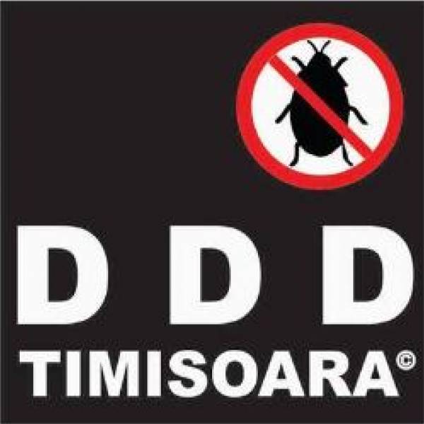 DDD TIMISOARA, Giroc