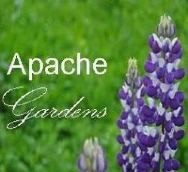 Apache Gardens, Bucureşti