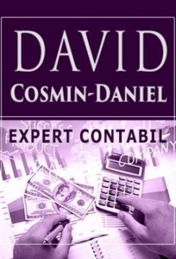 DAVID COSMIN-DANIEL EXPERT CONTABIL, Lugoj
