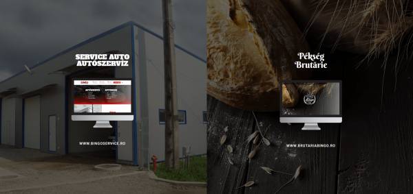 PRODUCTIE BINGO, Ghelinţa