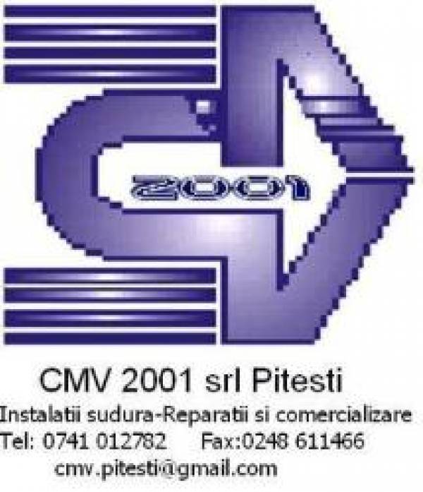 C.m.v. 2001, Piteşti