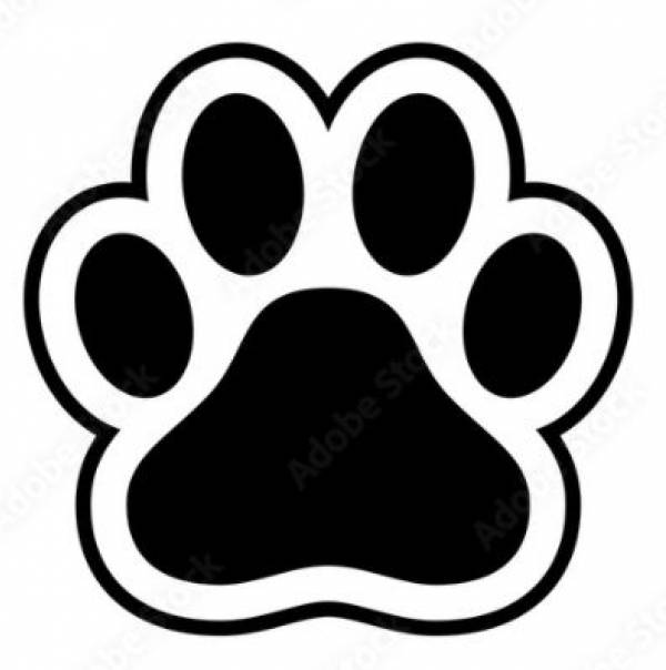 Clinica Veterinara Cu Program Permanent, Constanţa