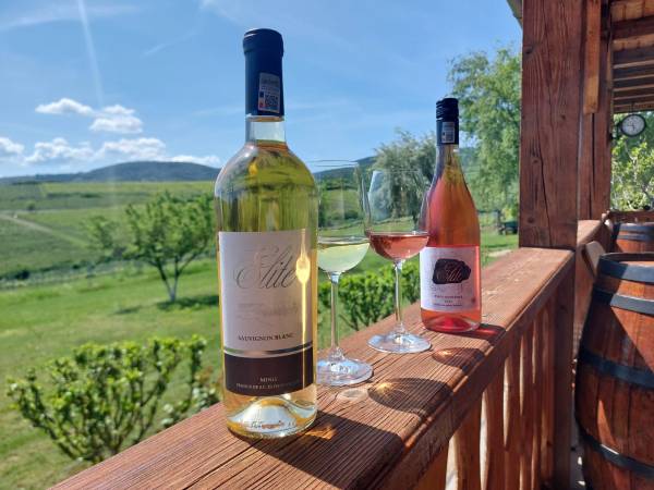 Elite Wine - Podgoria Minis - Maderat, Mâsca