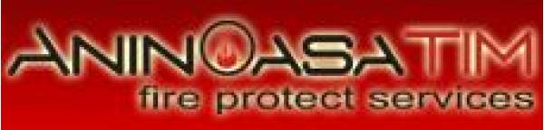 Aninoasa-Tim, Moşniţa Nouă