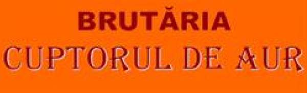 Levio Comimpex, Oraviţa