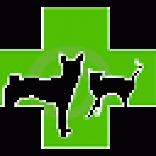 Vet Plus, Călăraşi