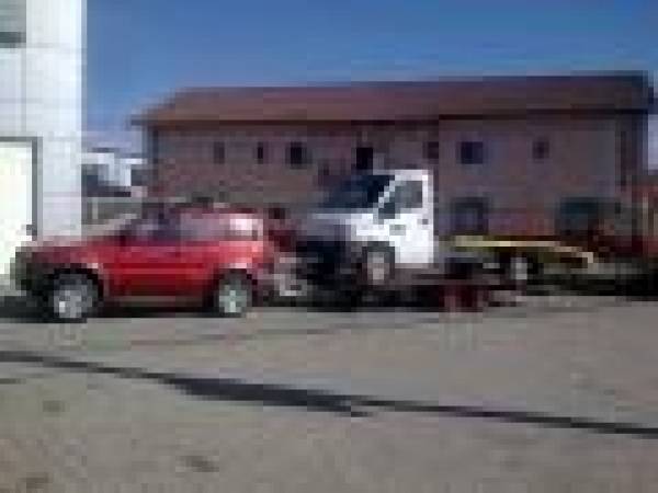 Arcada Trade, Lăpuşel