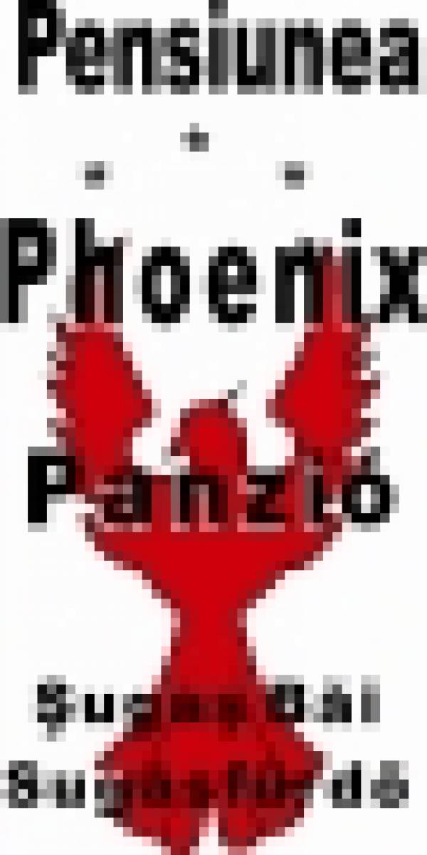 Pensiunea Phoenix, Covasna