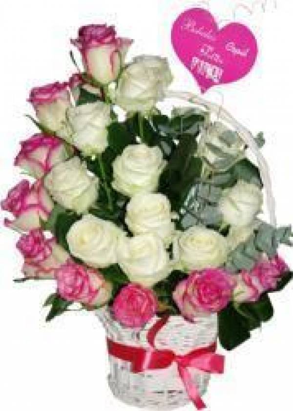 Agentia de Nunti Iris, Focşani