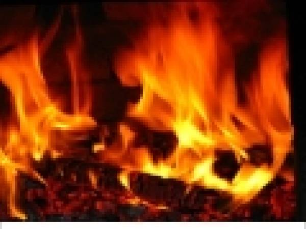 Vanex, Târgu Neamţ