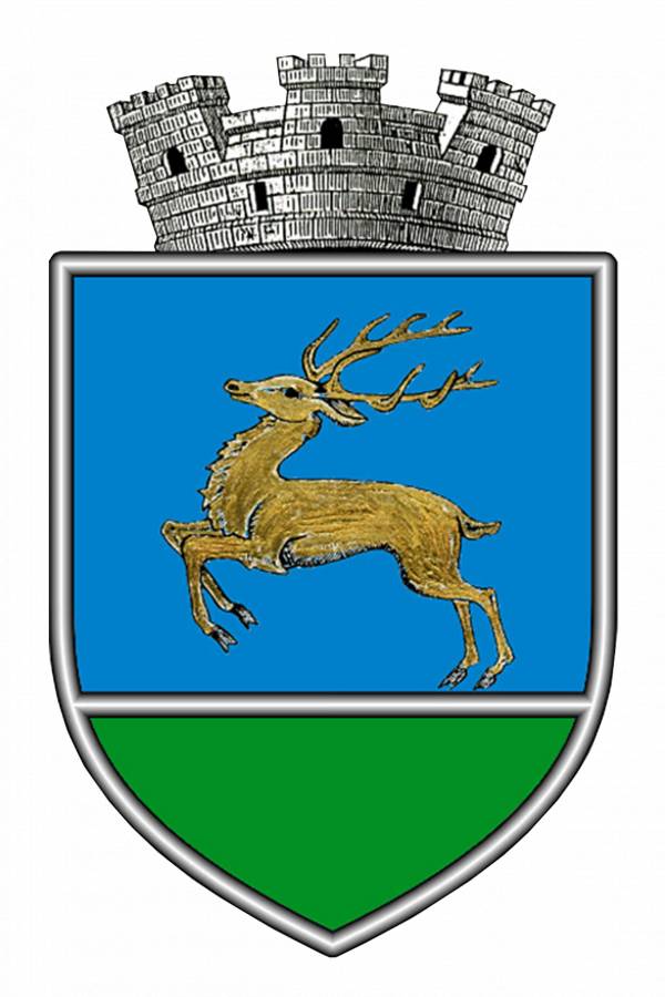 Primaria Gura Humorului, Gura Humorului