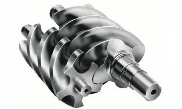 Conticompreso, Şoimuş