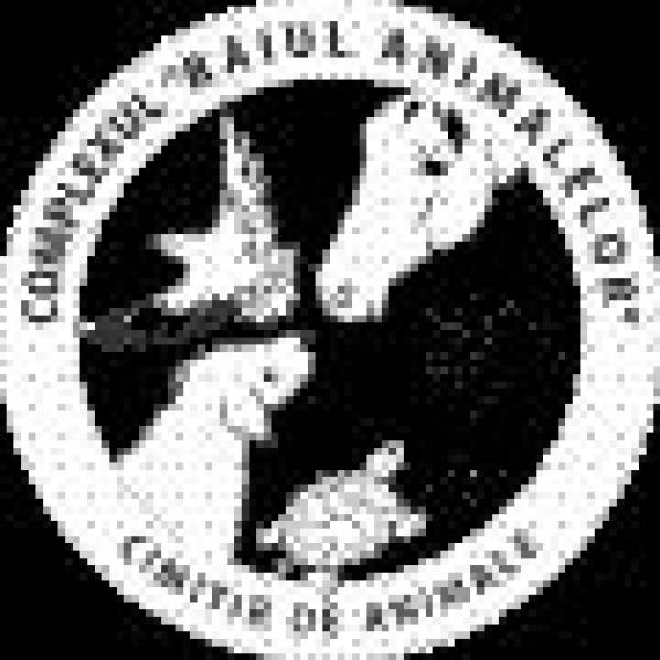 Raiul Animalelor, Glina