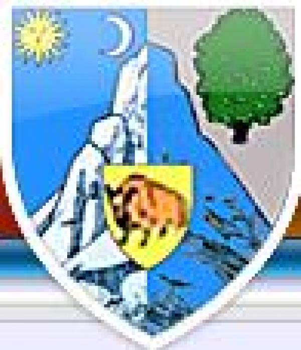 Primaria Coloneşti, Coloneşti