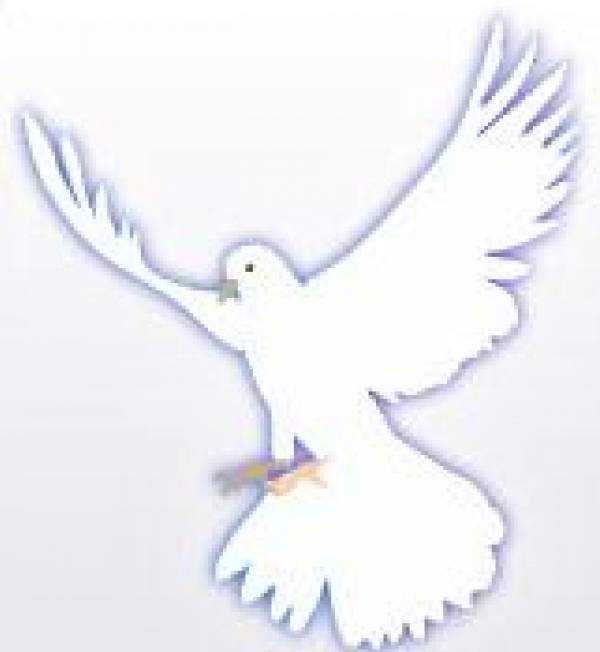 Liceul Teoretic Cu Clasele i - Xii Ioan Petrus, Otopeni