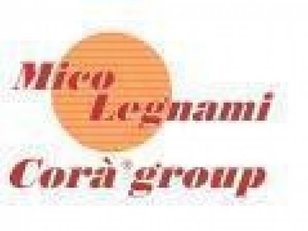 Mico Legnami, Miercurea Sibiului