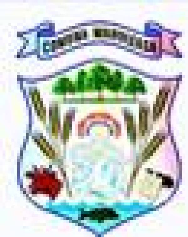 Primaria Manoleasa, Manoleasa