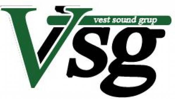 Vest Sound Grup, Timişoara