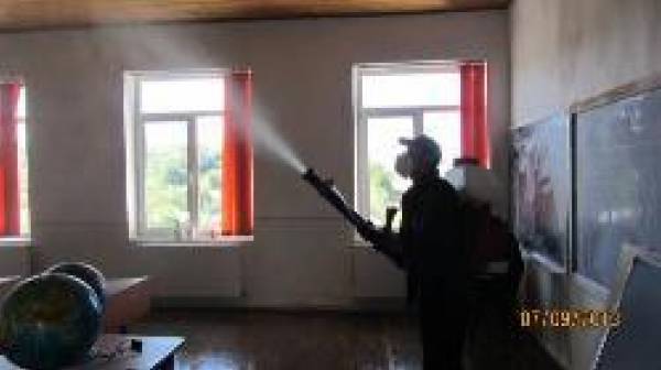 Star Styll, Târgu Frumos