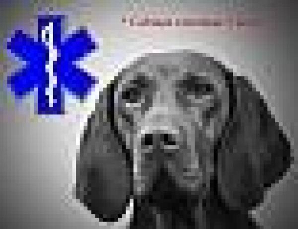 Cabinet Veterinar -Dr Bobu Cristian, Vălenii de Munte