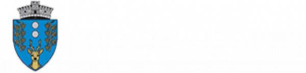 Primăria Adămuş, Adămuş