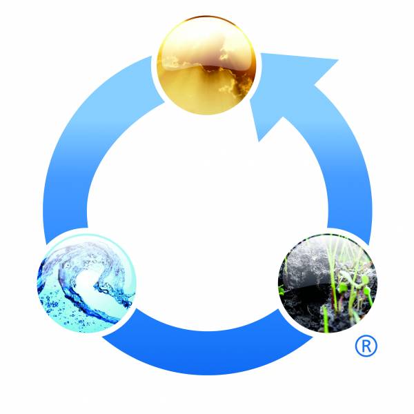 Ecoinstal IT Consult, Reghin