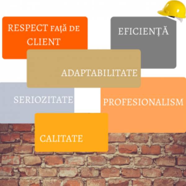 J Construct Med, Mediaş