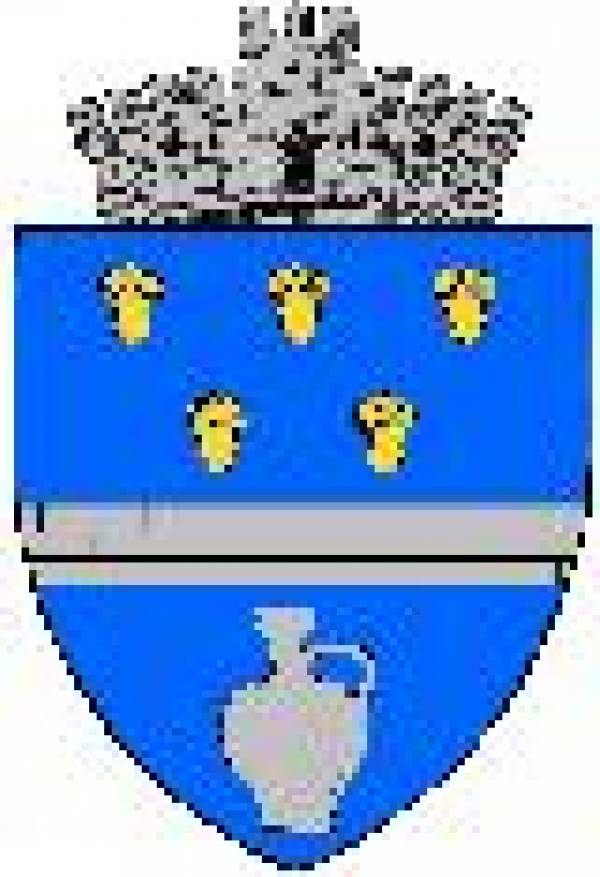 Primăria Vlădeşti, Vlădeşti