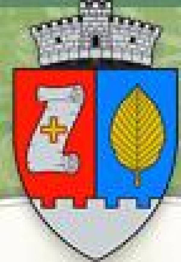 Primăria Voivodeni, Voivodeni