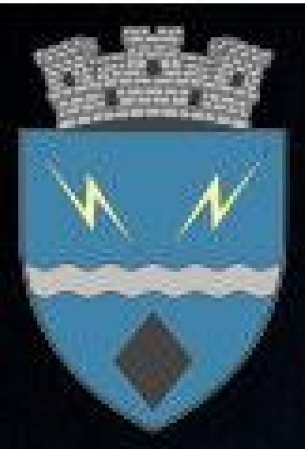 Primăria Oraşului Rovinari, Rovinari