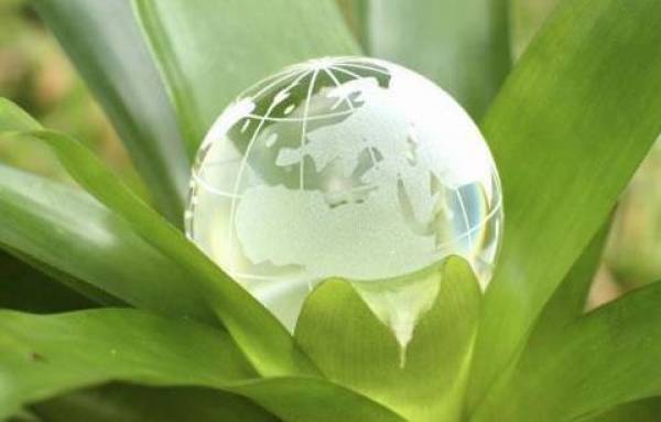 Fx Trading & Consulting, Hemeiuş