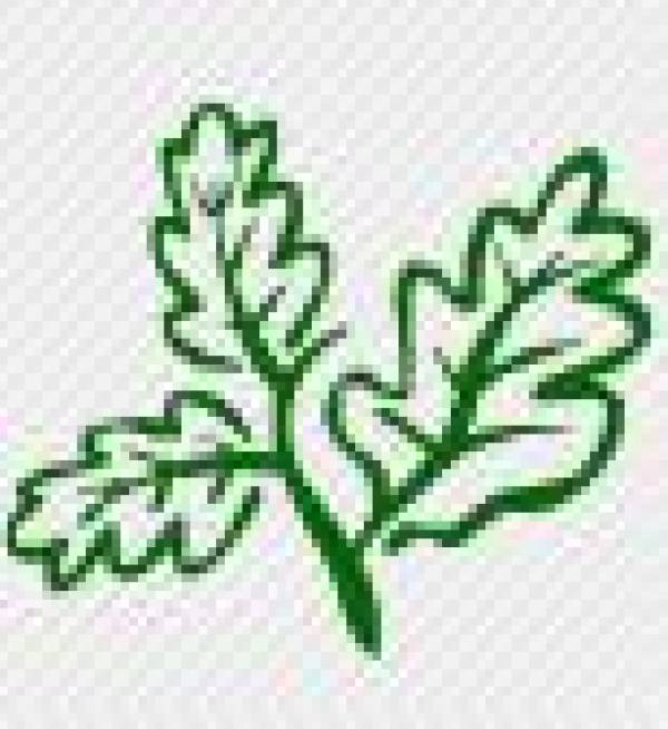 Eden Garden, Săftica