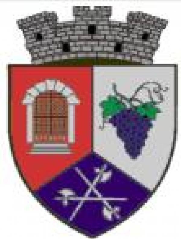 Primaria Copsa Mica, Copşa Mică