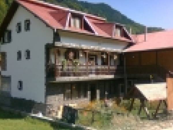 Casa Elena-Sătic, Rucăr