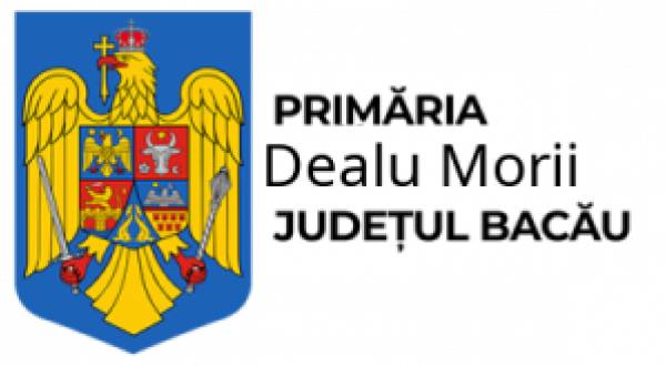 Primăria Comunei Dealu Morii, Dealu Morii